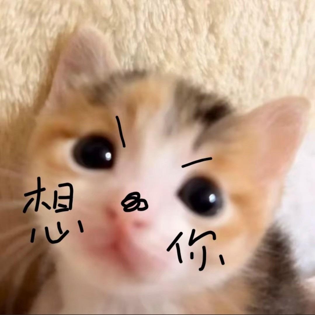 洗碗弟