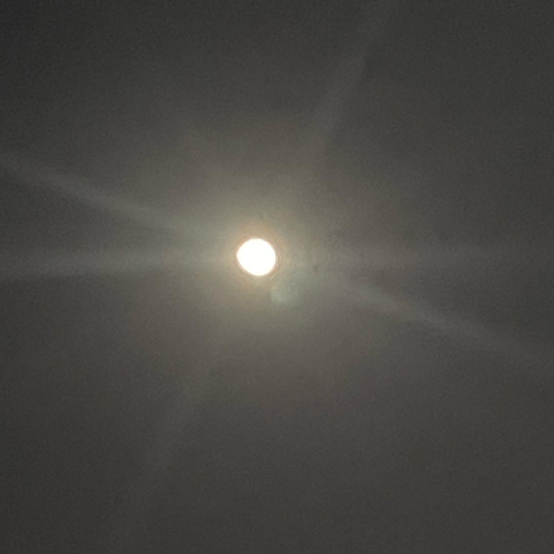 ✨✨