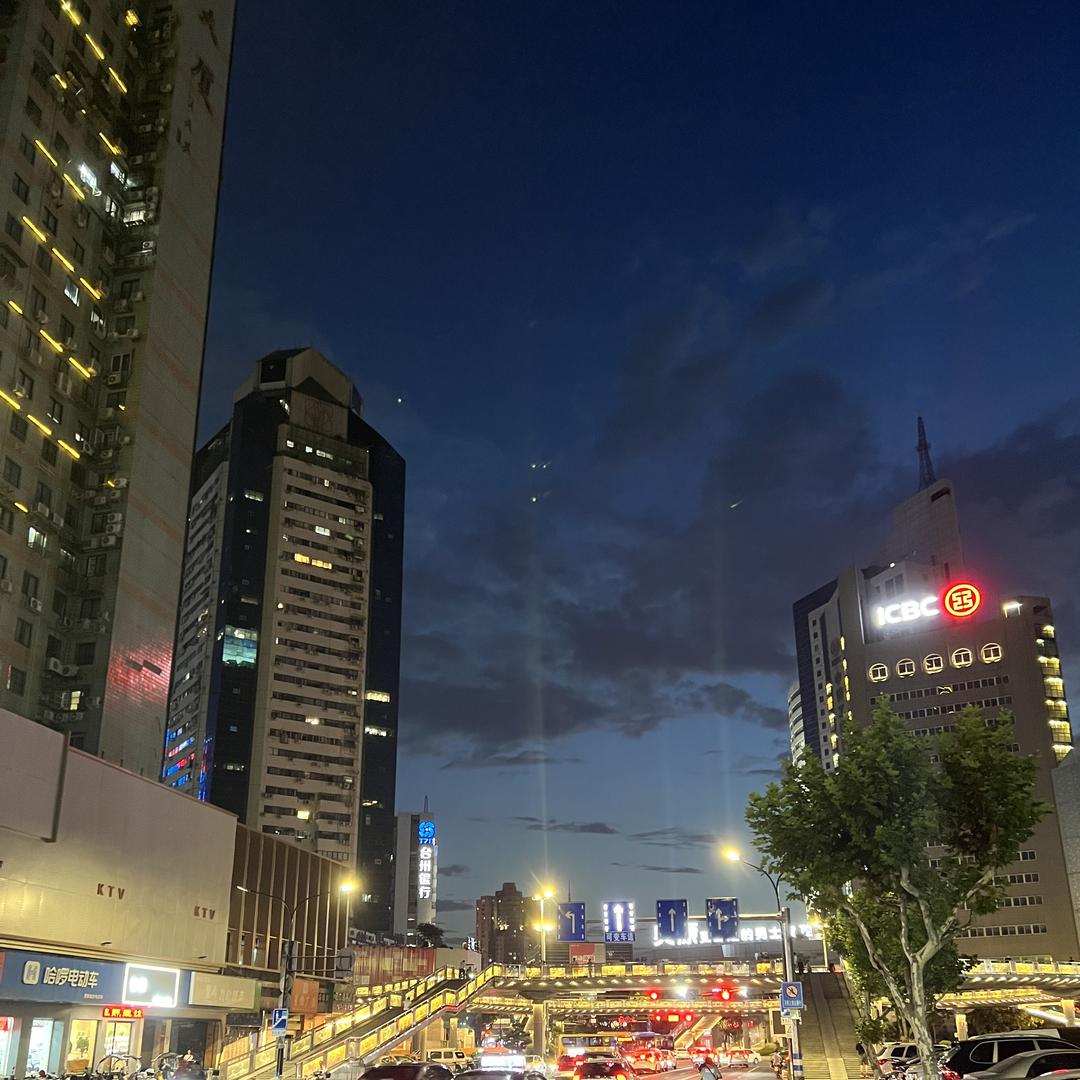 超萌宠物寄居蟹