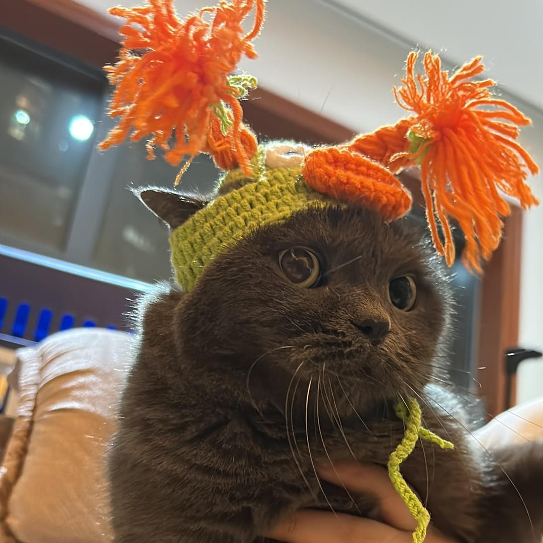 肉松小贝（见过张艺兴版）