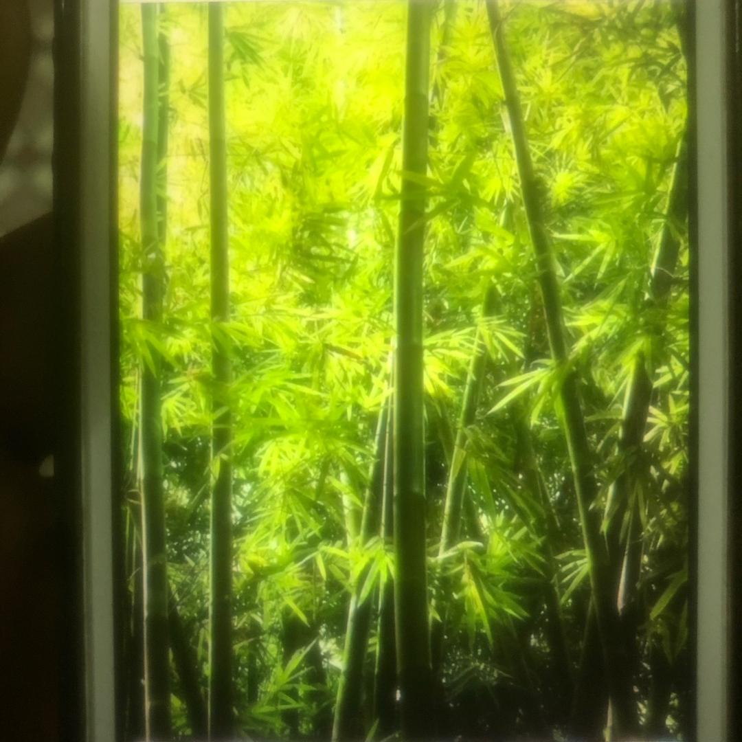 老胡，川哥