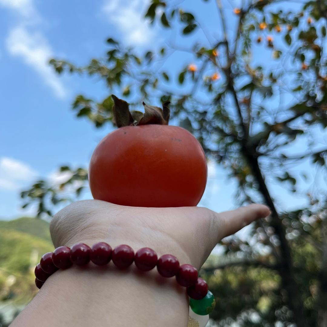 春暖花开手工粽子 扣肉铺