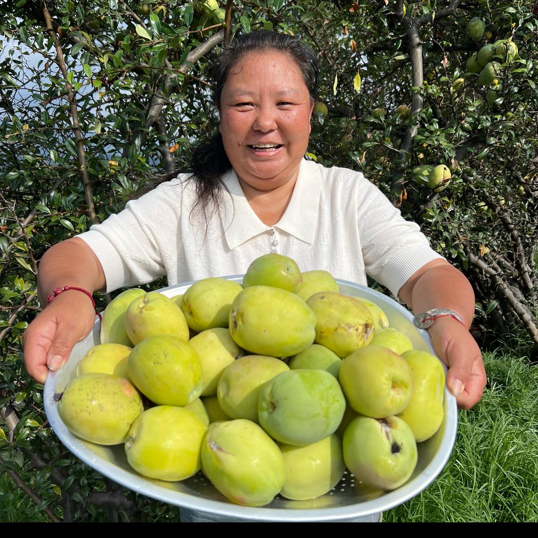 大理杨姐