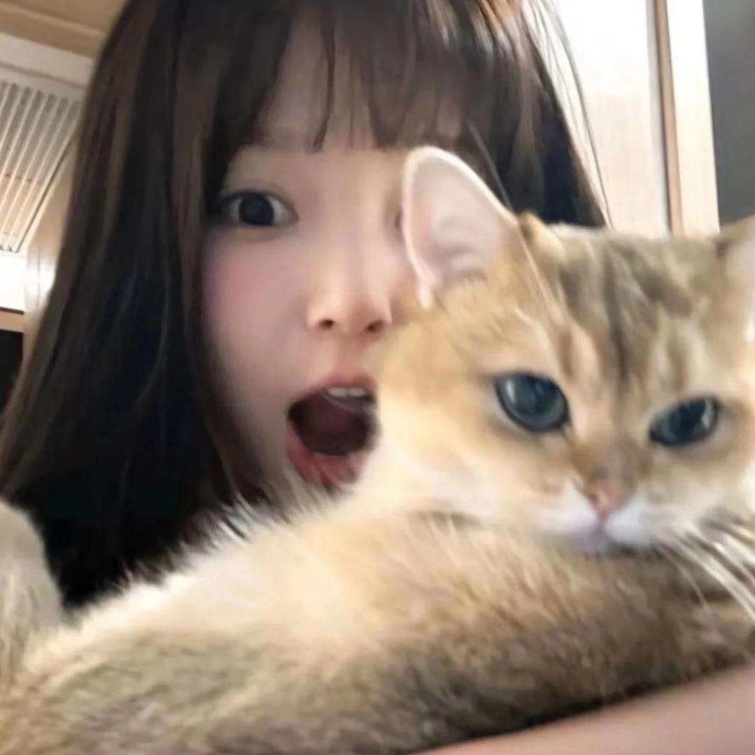 -芋泥多点