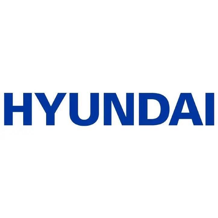 HYUNDAI汉思理生活电器专卖店