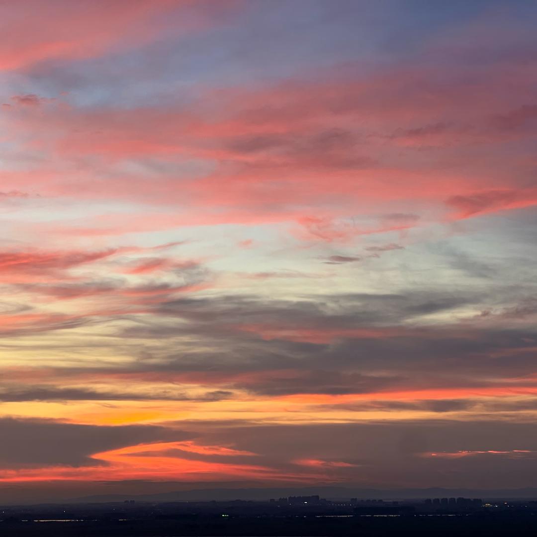 墨镜鼠（三角洲）
