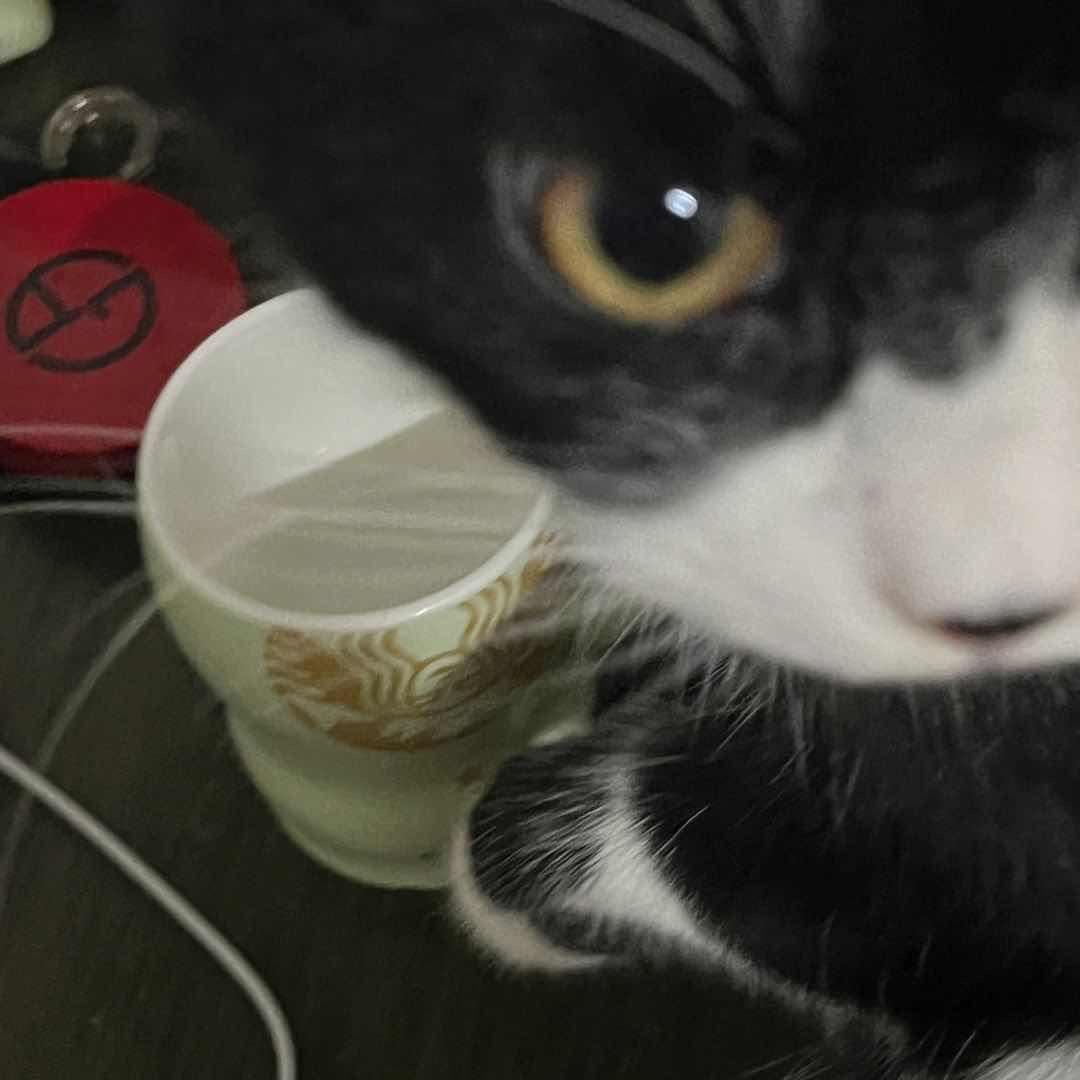 9_