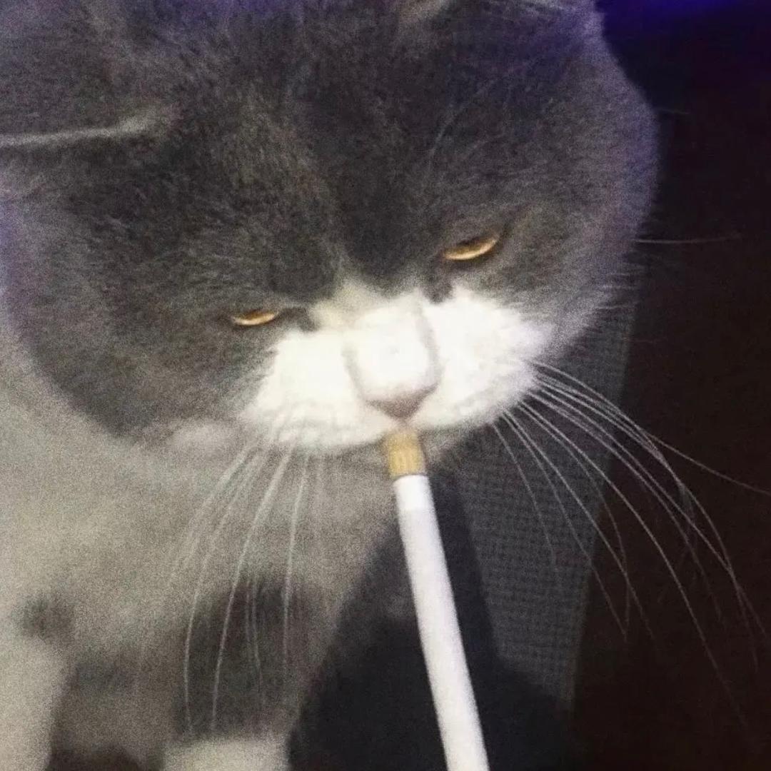 啤酒不喝酒