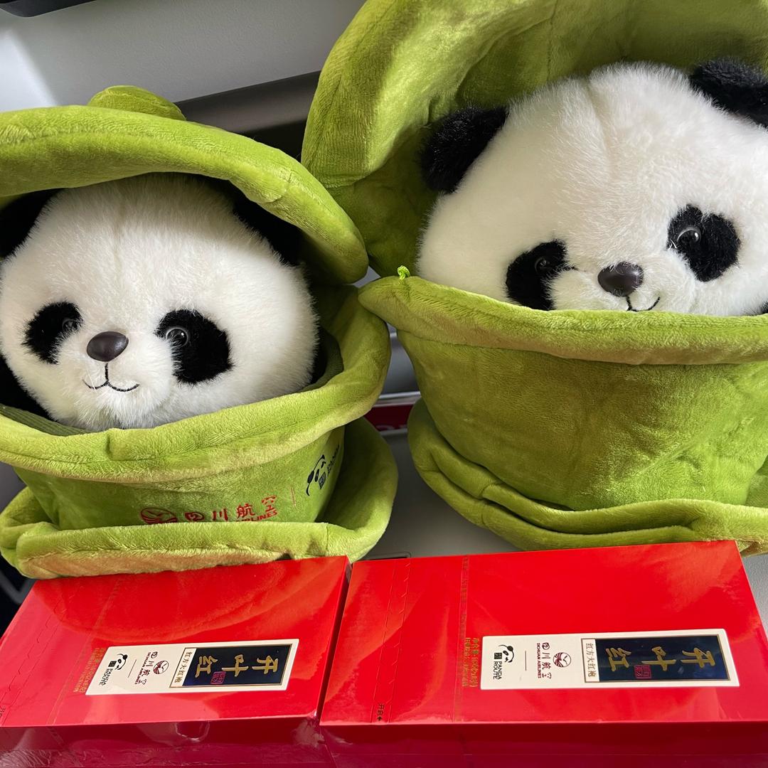 宝贝呀想旅游