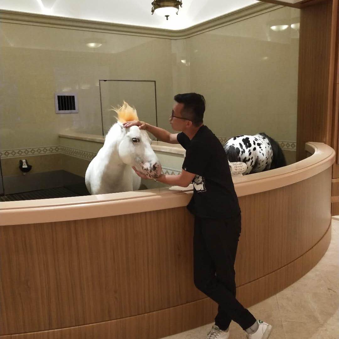 独来独往大量收购pet原料