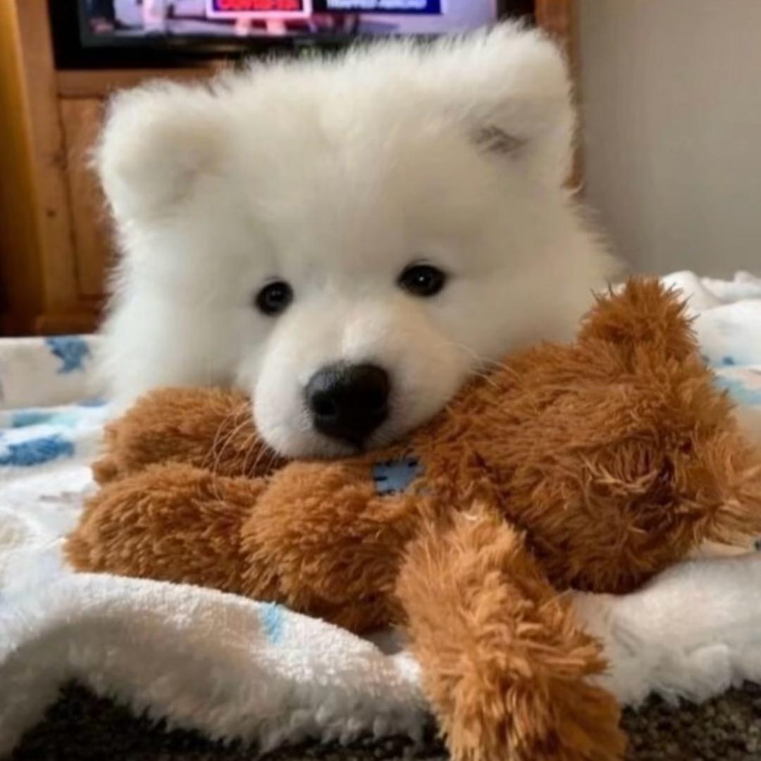 柠檬汁🍋‍🟩