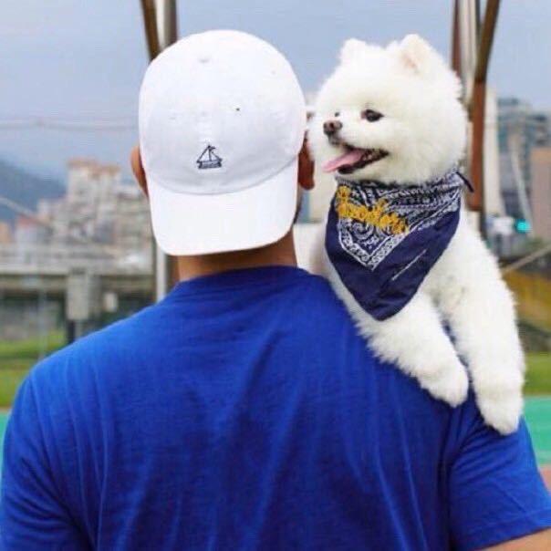钦州甘蔗仔