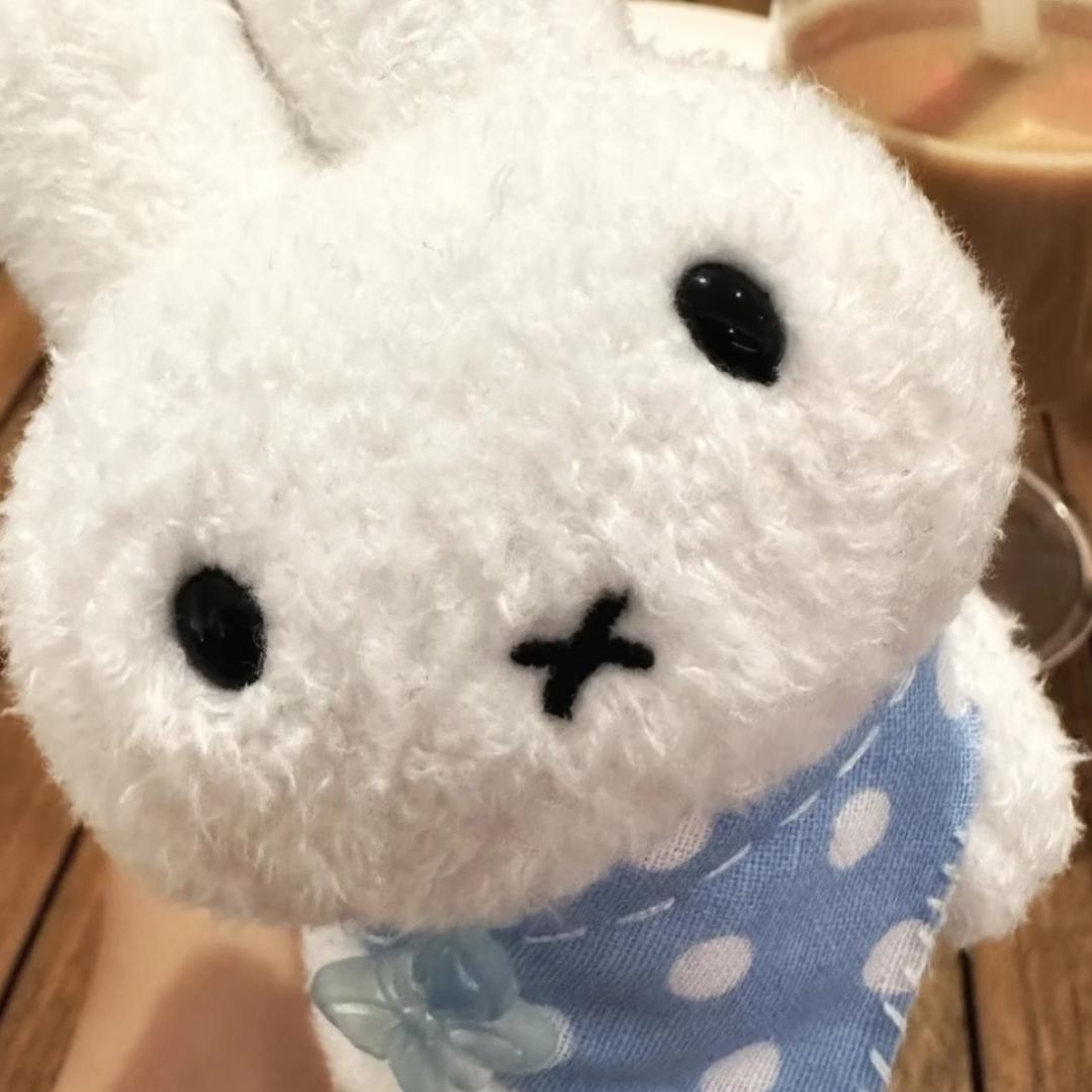 妮好香椰