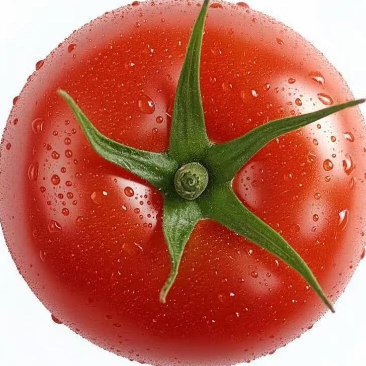 翻斗花园女明星