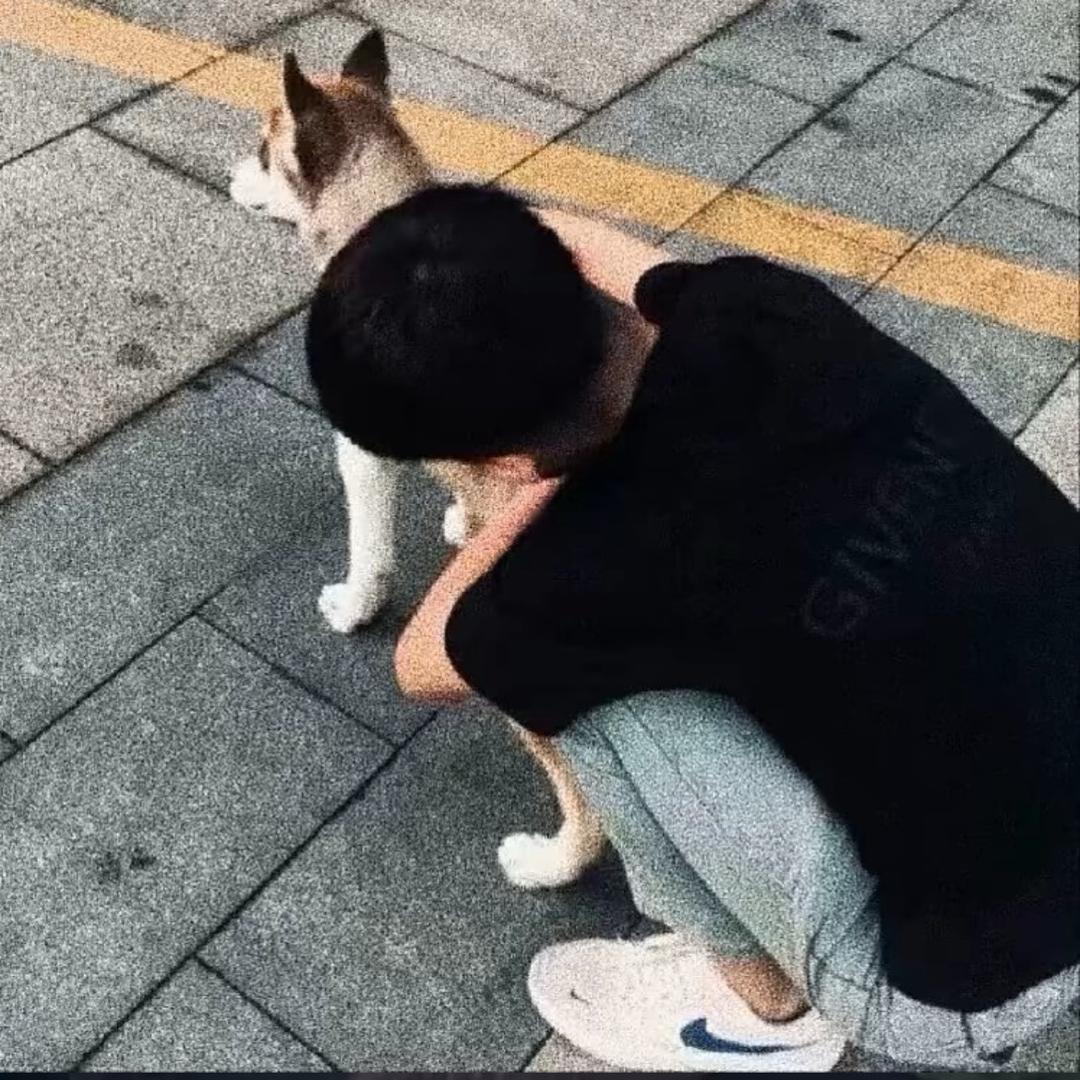 龐博.