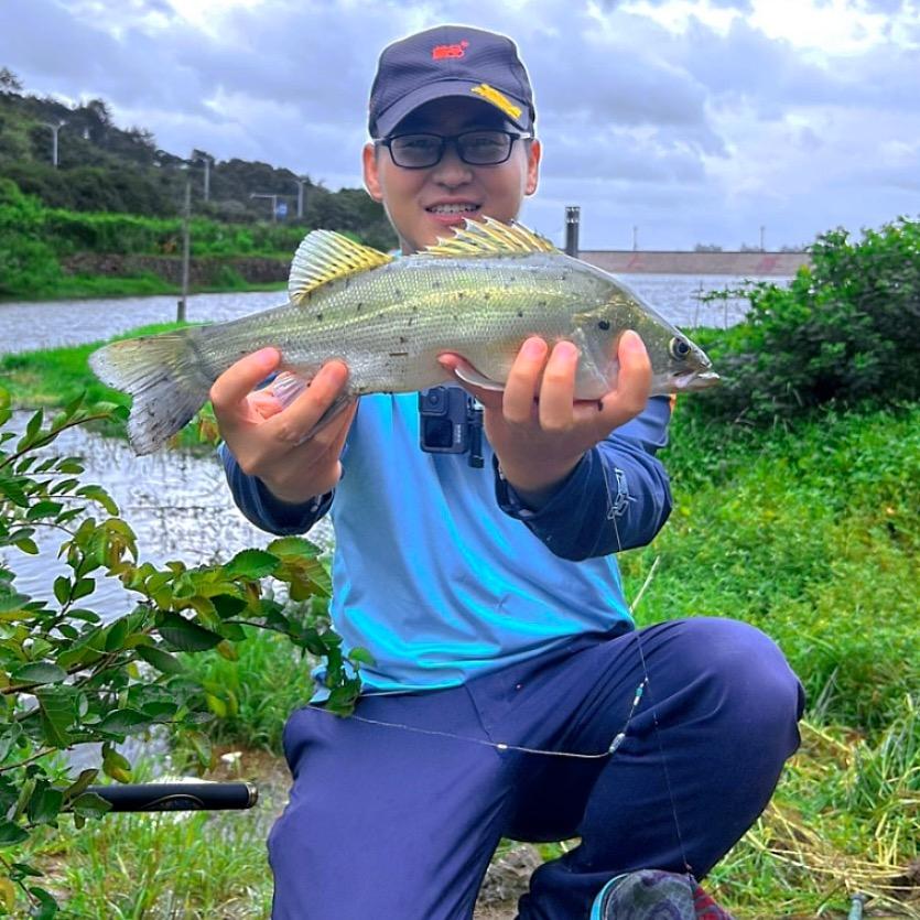 宁波野钓小付