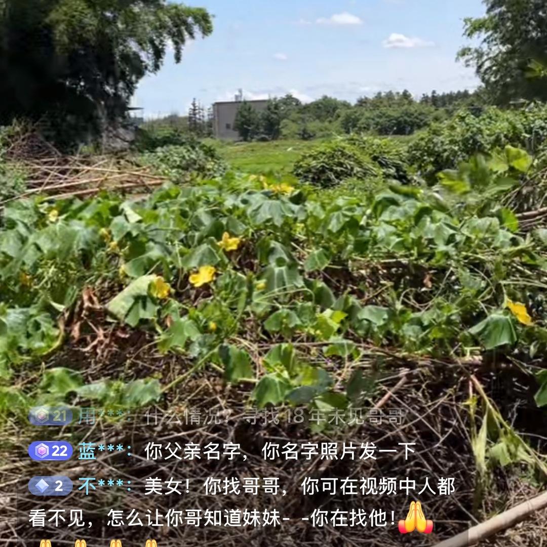东莞丁丁毛衣工厂店