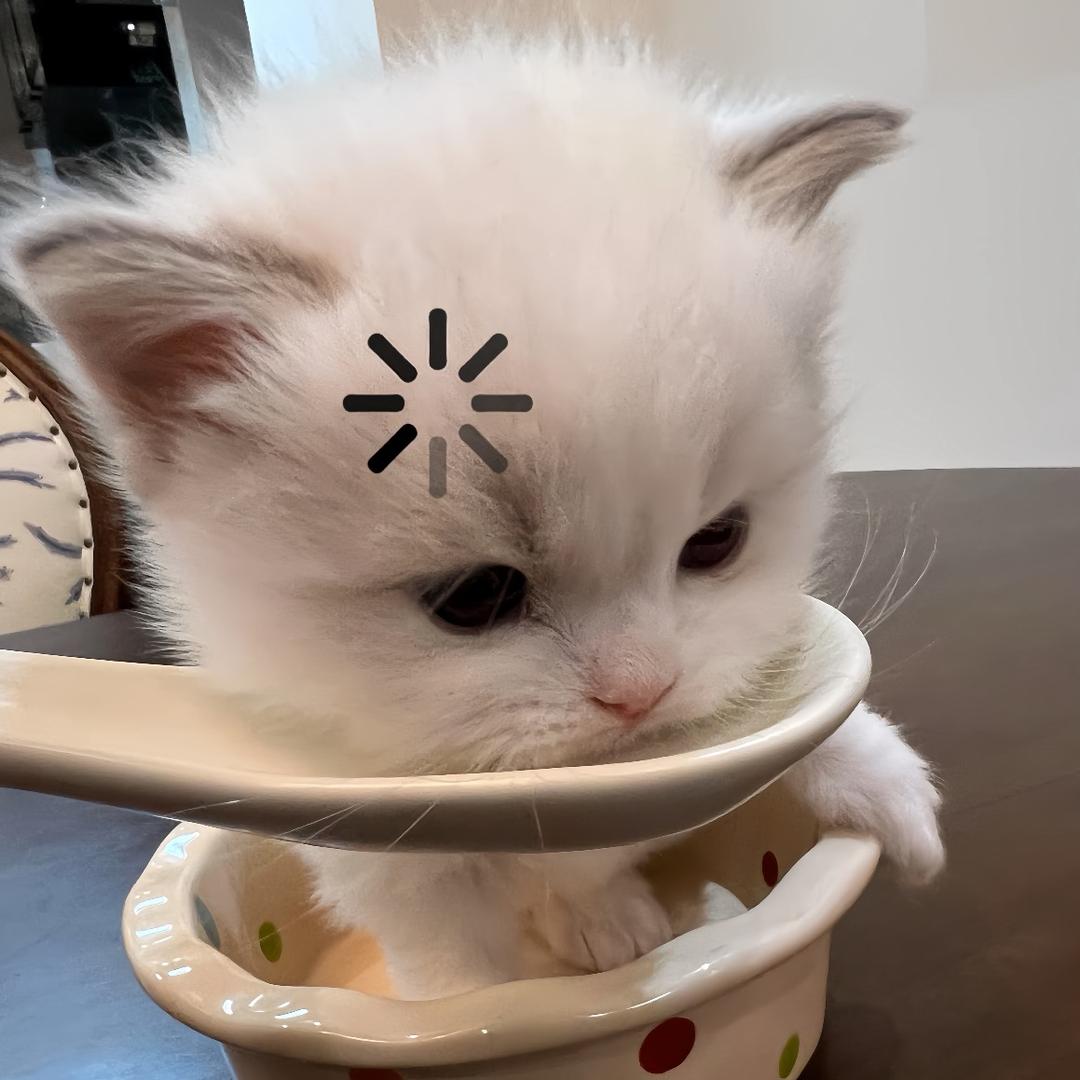 如果忧郁是天赋