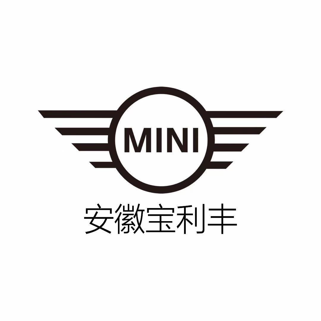 安徽宝利丰MINI