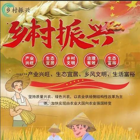菏泽三农就业