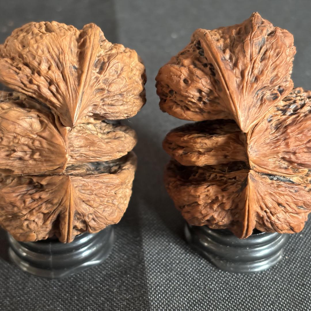 老莫云铁臻选阁