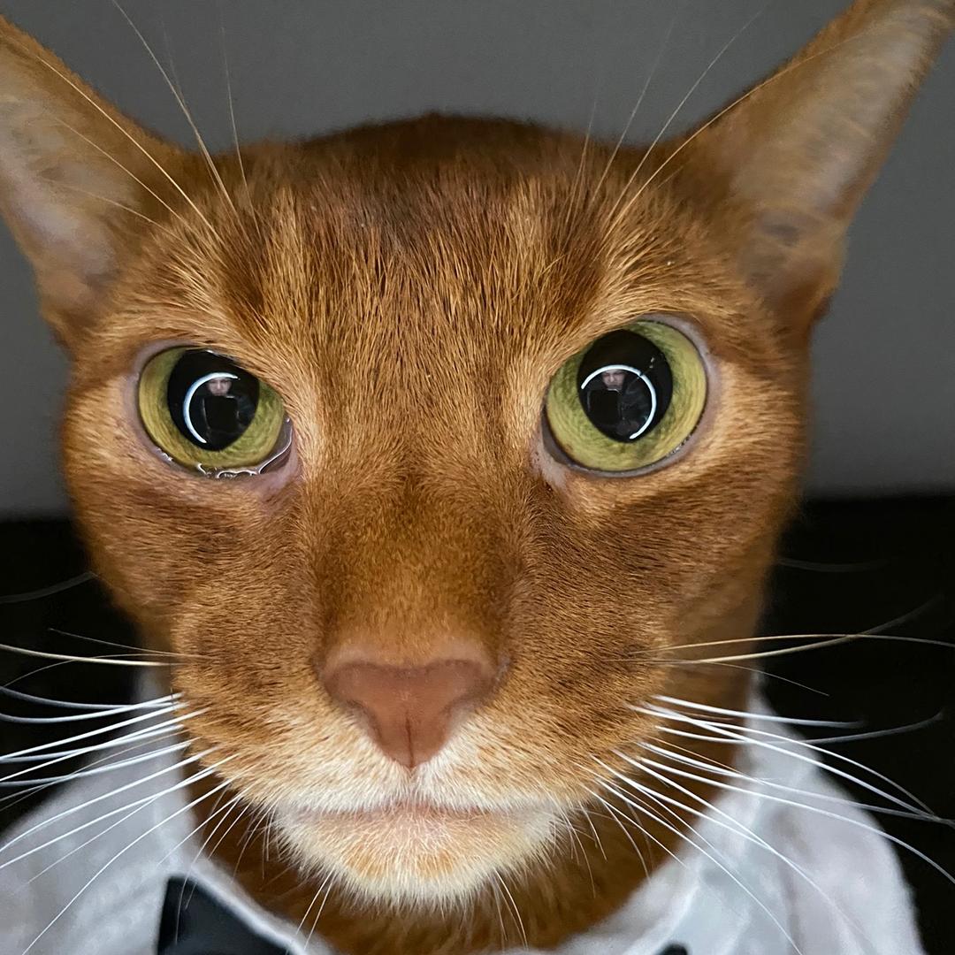 超模张铁军@抖音