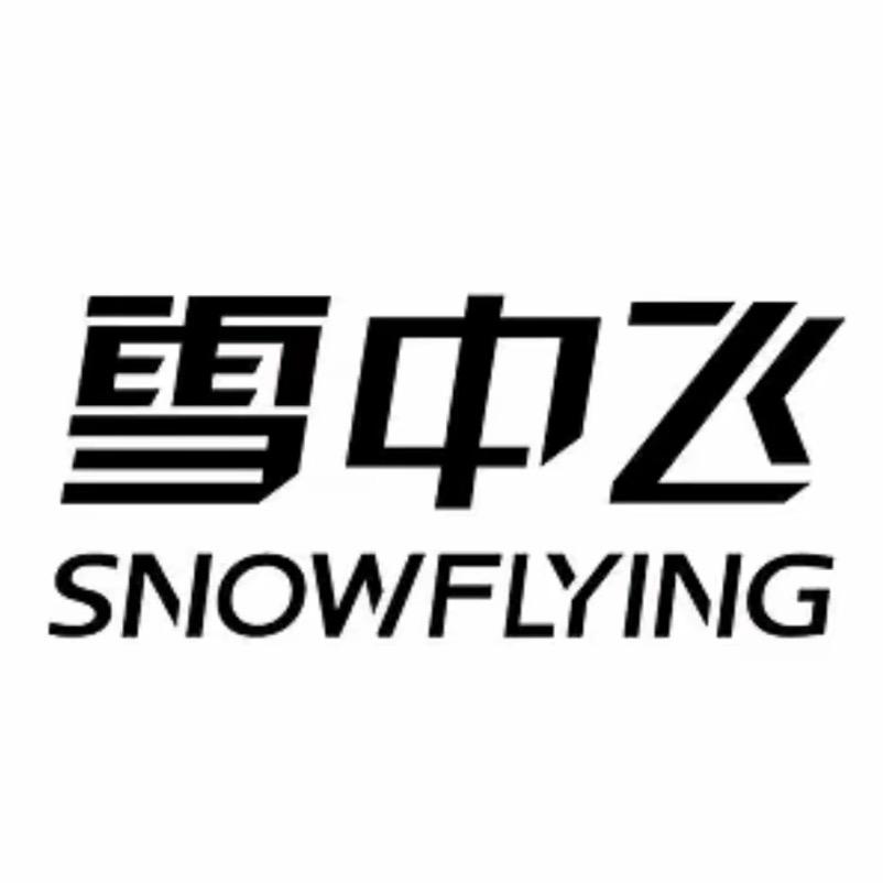 雪中飞儿童精选童装