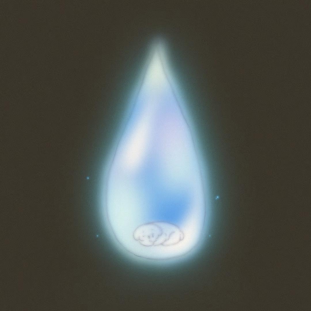21