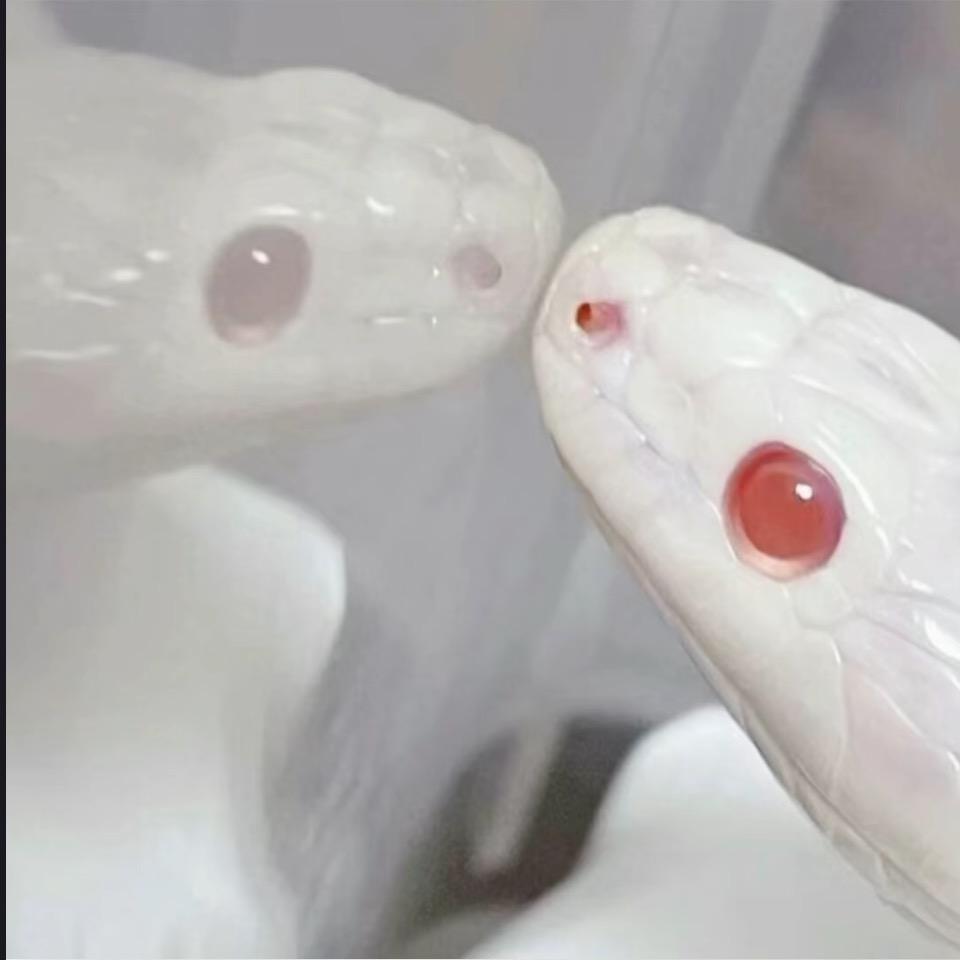 王德贵