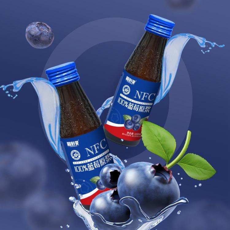 100%蓝莓原浆