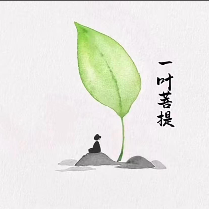凡尘ཽ清心🍃