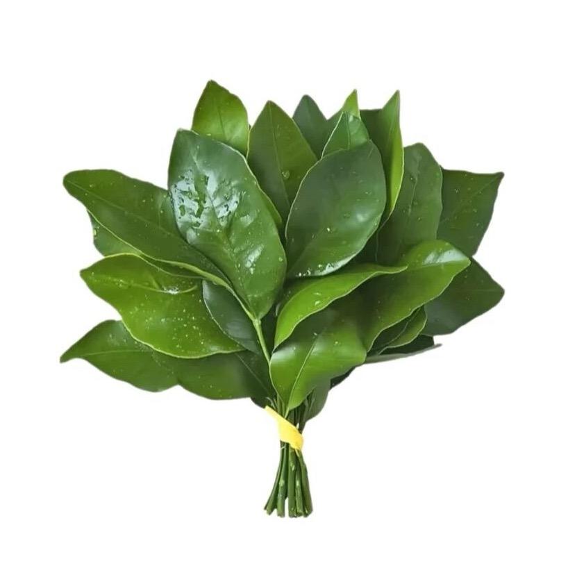 E7