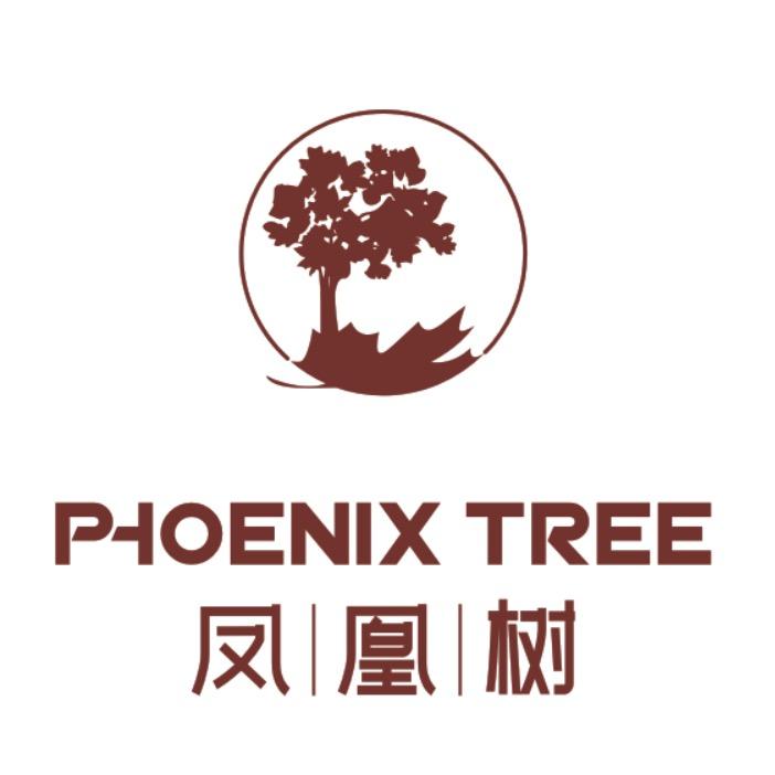 Phoenix tree凤凰树实体女装