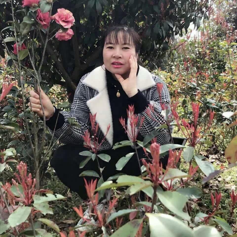 心想事成