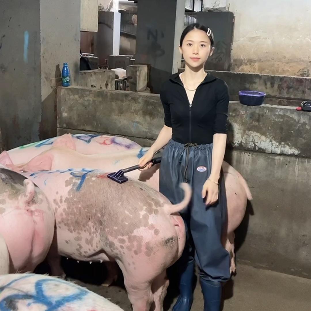 猪肉小妹