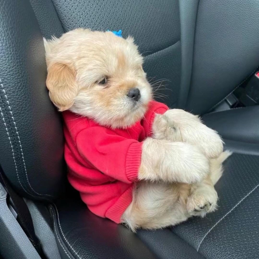 吃螺狮粉被暴打