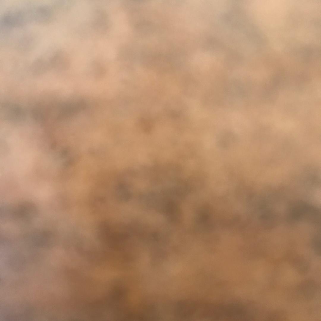 只服你