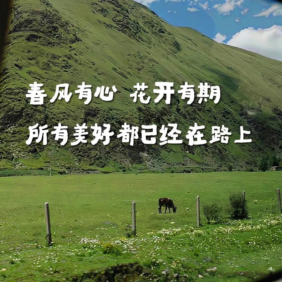 知食分子