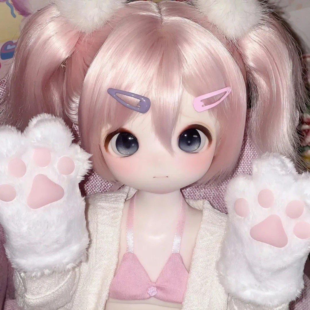 赚钱养猫