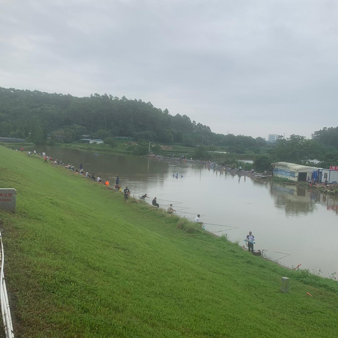 洋洋钓鱼场