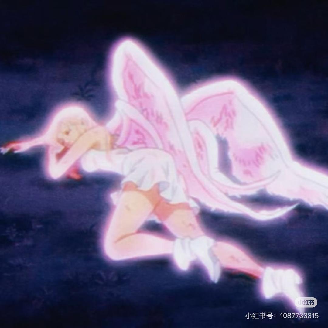 皮夹克w