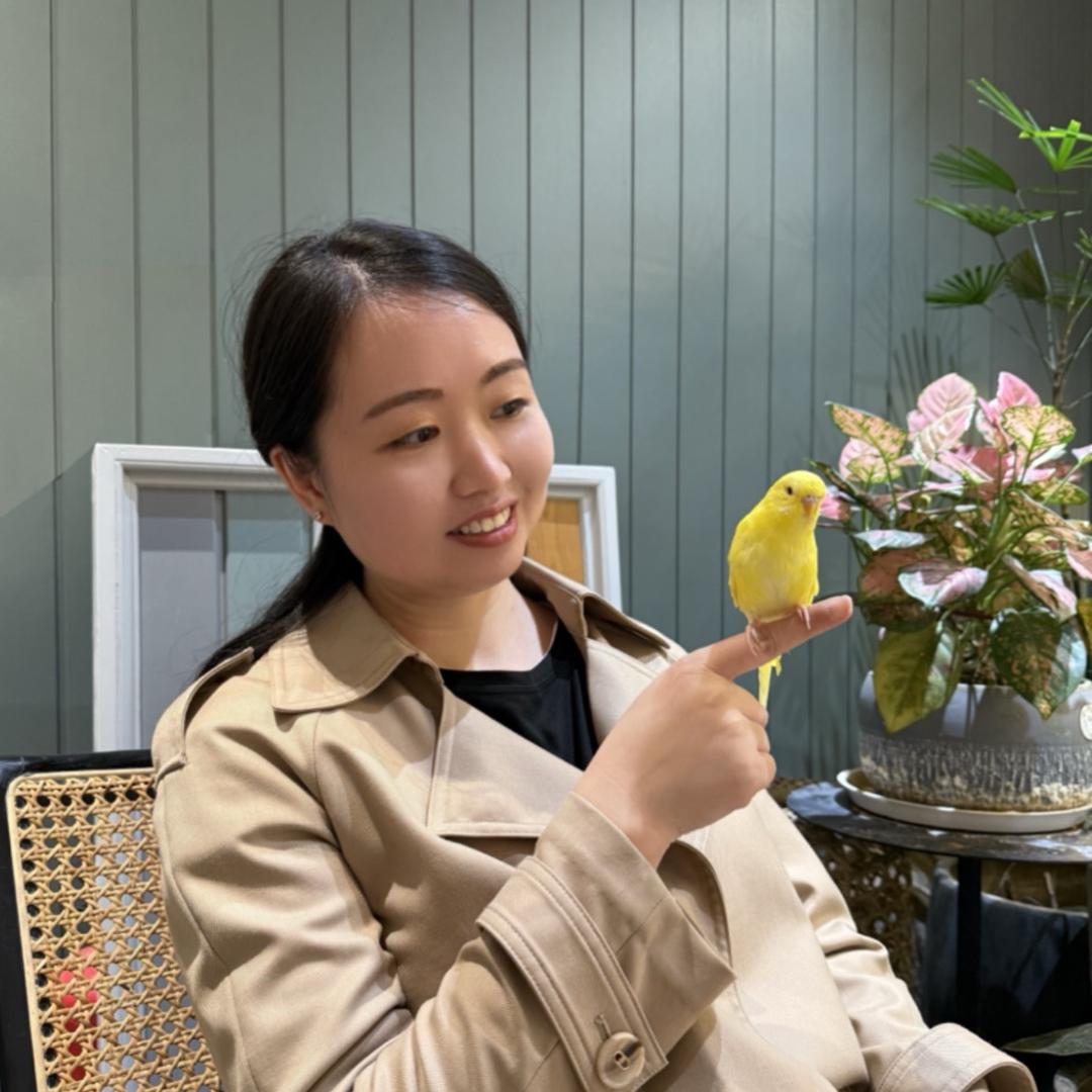 王姐聊原木定制