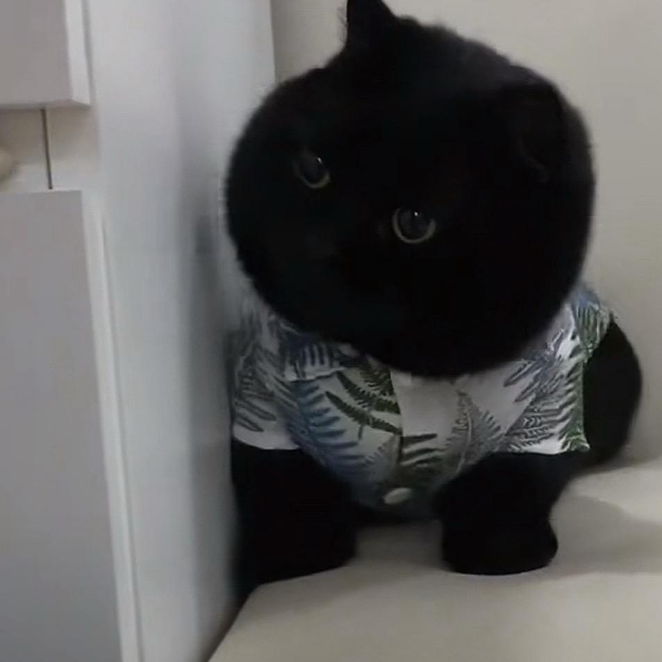 李千亿