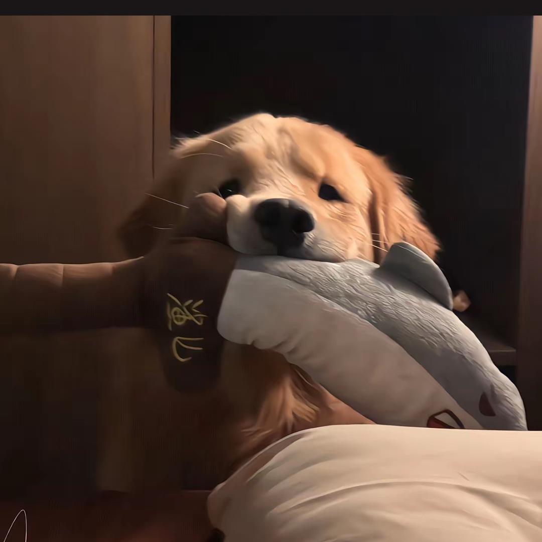 睡不醒-