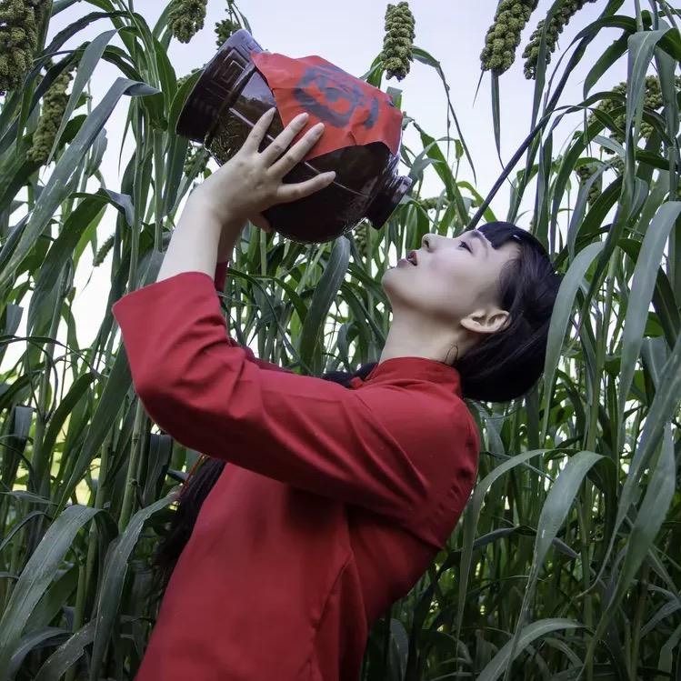 故乡的九儿