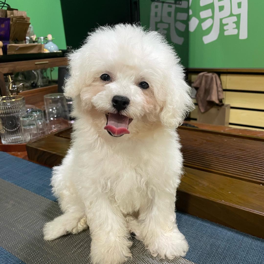 墨默
