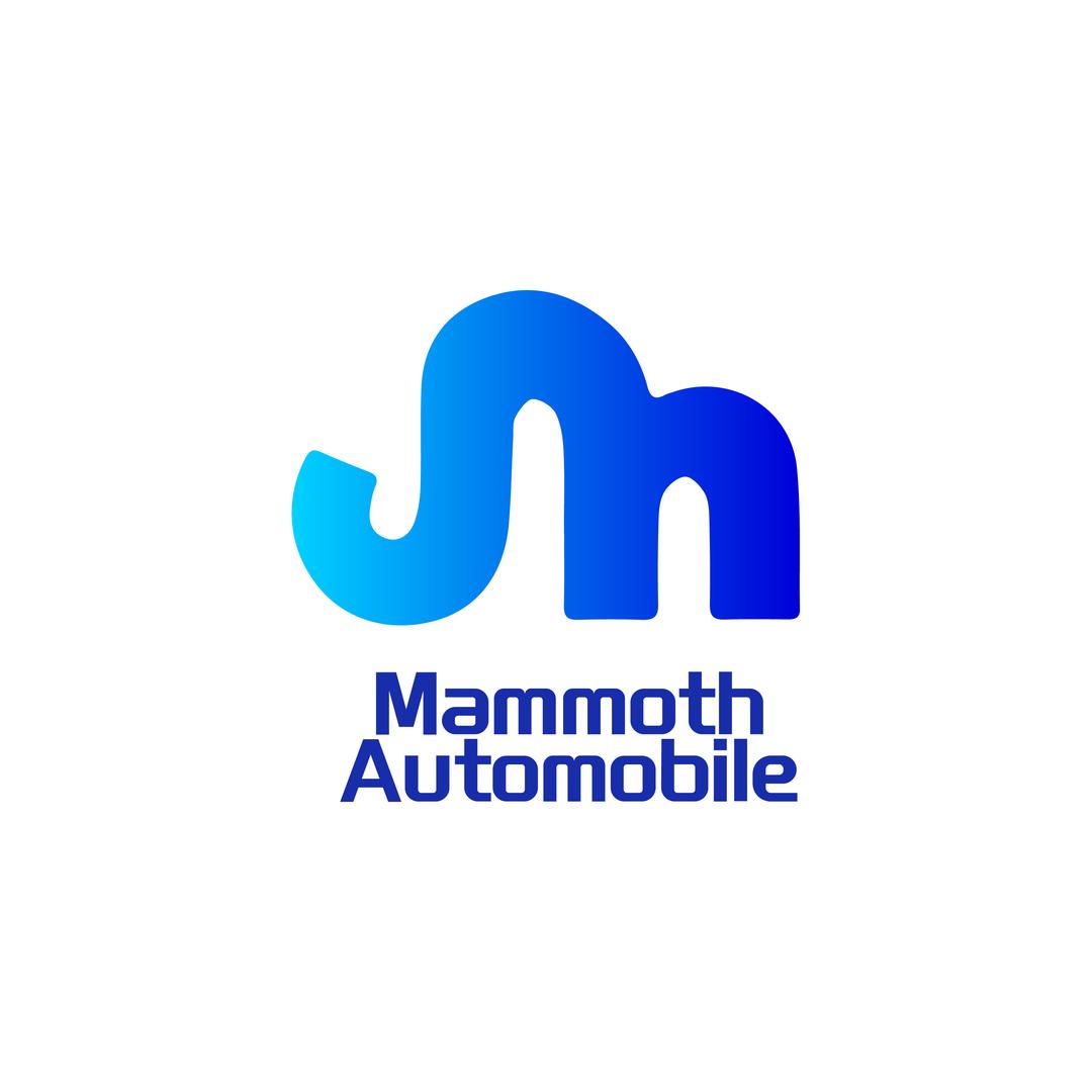 猛犸汽车 张晶晶