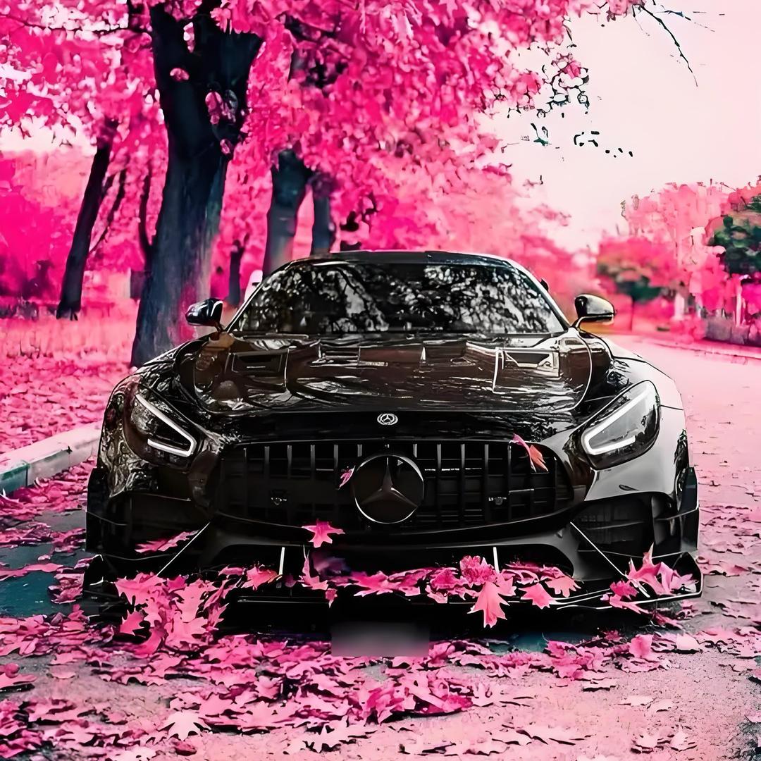 Hello  奔驰 AMG