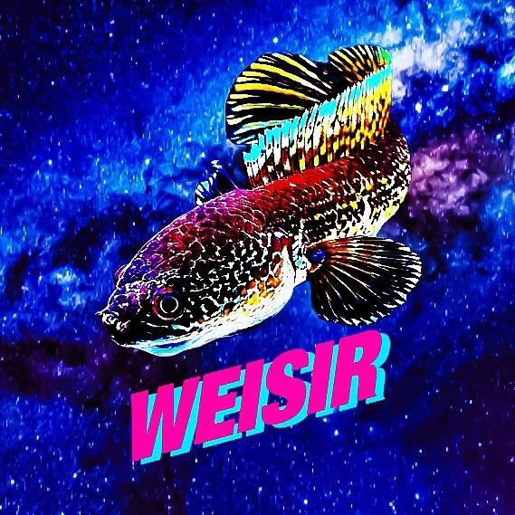 W·威Sir玩雷龙-方卡斯
