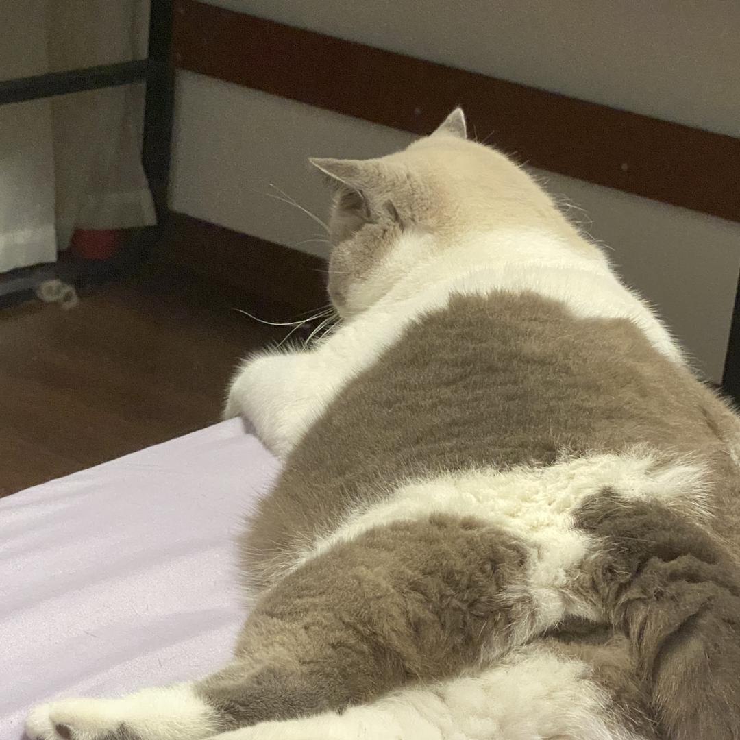 美得很小号